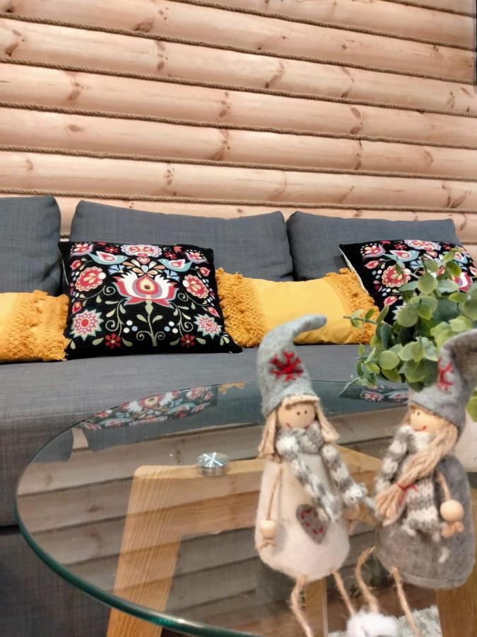 Anielki Apartament 扎科帕内 外观 照片