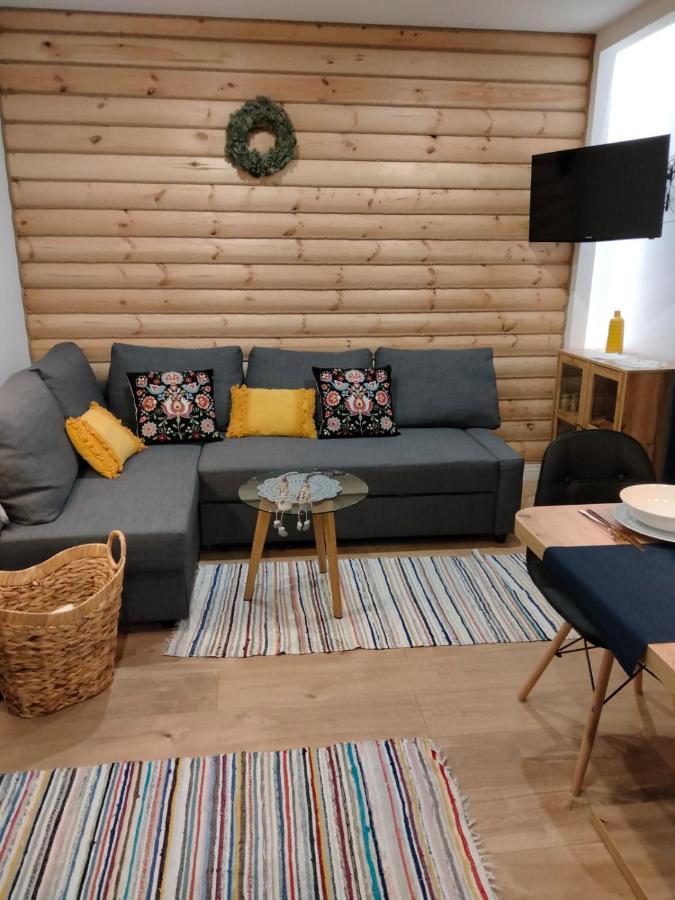 Anielki Apartament 扎科帕内 外观 照片